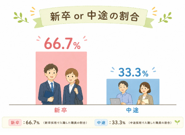 新卒・中途の割合 新卒 66.77% 中途33.3%